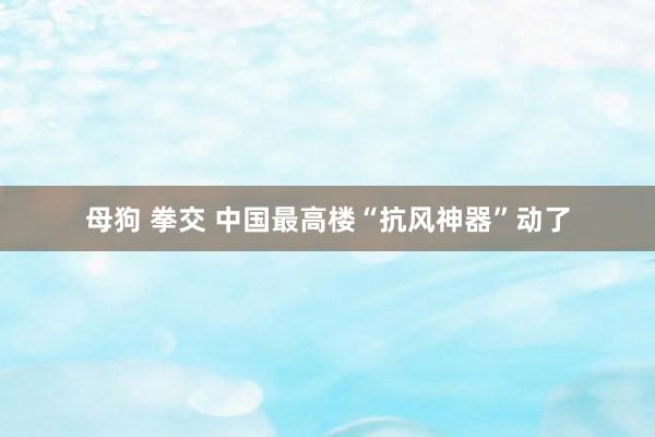 母狗 拳交 中国最高楼“抗风神器”动了