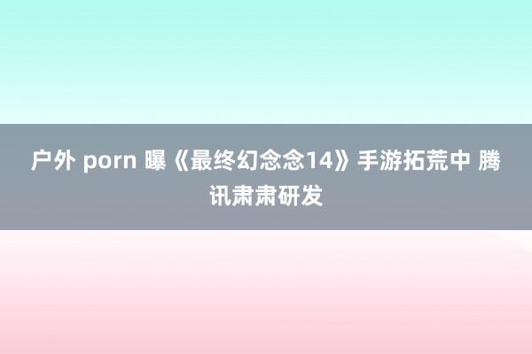 户外 porn 曝《最终幻念念14》手游拓荒中 腾讯肃肃研发