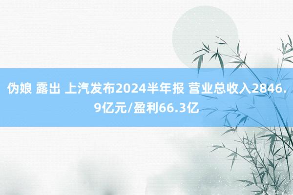 伪娘 露出 上汽发布2024半年报 营业总收入2846.9亿元/盈利66.3亿