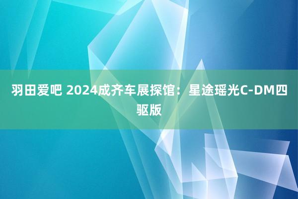 羽田爱吧 2024成齐车展探馆：星途瑶光C-DM四驱版