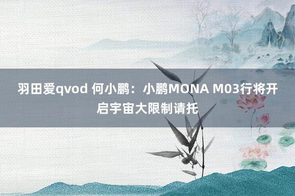 羽田爱qvod 何小鹏：小鹏MONA M03行将开启宇宙大限制请托