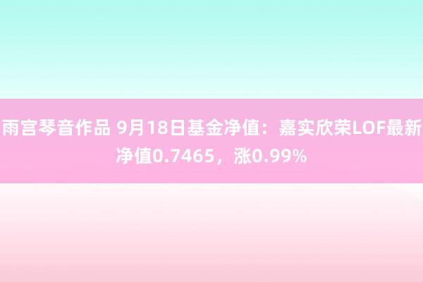 雨宫琴音作品 9月18日基金净值：嘉实欣荣LOF最新净值0.7465，涨0.99%