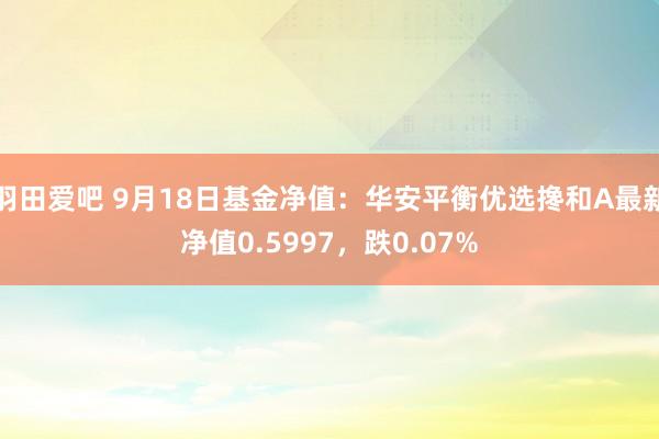 羽田爱吧 9月18日基金净值：华安平衡优选搀和A最新净值0.5997，跌0.07%