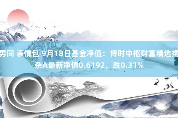 男同 表情包 9月18日基金净值：博时中枢财富精选搀杂A最新净值0.6192，跌0.31%