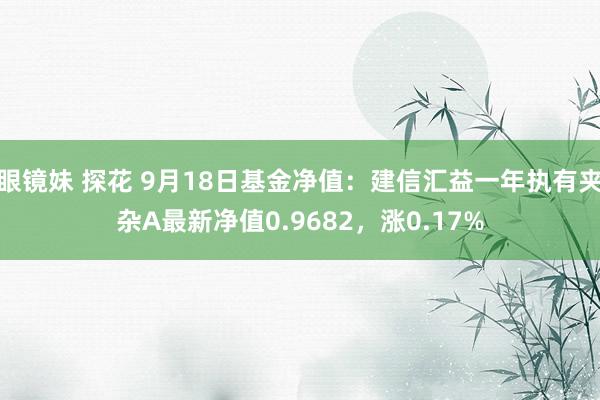 眼镜妹 探花 9月18日基金净值：建信汇益一年执有夹杂A最新净值0.9682，涨0.17%