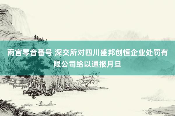 雨宫琴音番号 深交所对四川盛邦创恒企业处罚有限公司给以通报月旦