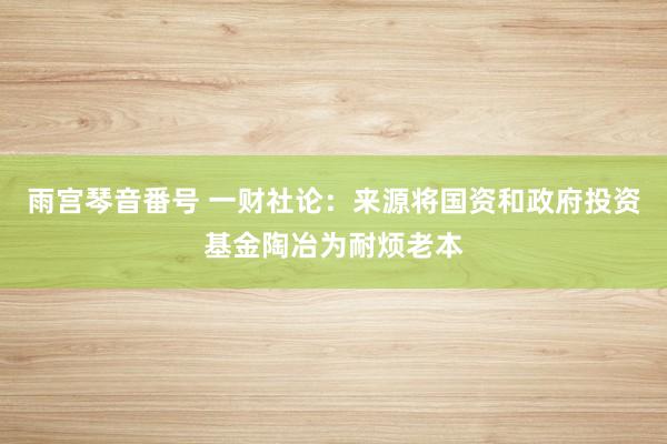 雨宫琴音番号 一财社论：来源将国资和政府投资基金陶冶为耐烦老本