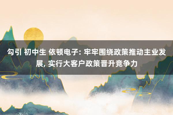 勾引 初中生 依顿电子: 牢牢围绕政策推动主业发展， 实行大客户政策晋升竞争力