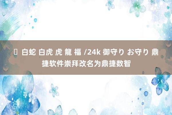 ✨白蛇 白虎 虎 龍 福 /24k 御守り お守り 鼎捷软件崇拜改名为鼎捷数智