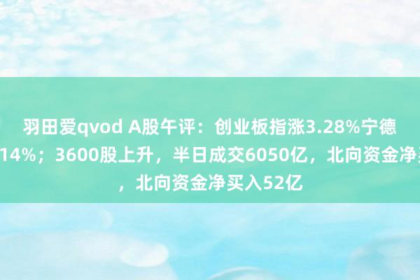 羽田爱qvod A股午评：创业板指涨3.28%宁德时间大涨14%；3600股上升，半日成交6050亿，北向资金净买入52亿