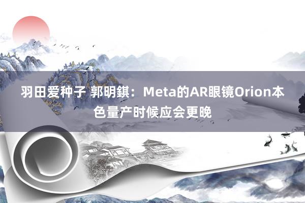 羽田爱种子 郭明錤：Meta的AR眼镜Orion本色量产时候应会更晚