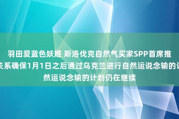 羽田爱蓝色妖姬 斯洛伐克自然气买家SPP首席推论官暗示：关系确保1月1日之后通过乌克兰进行自然运说念输的计划仍在继续