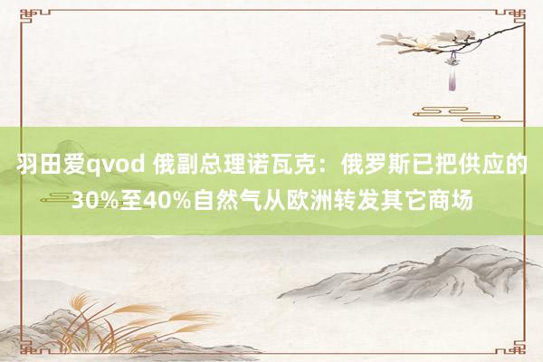 羽田爱qvod 俄副总理诺瓦克：俄罗斯已把供应的30%至40%自然气从欧洲转发其它商场