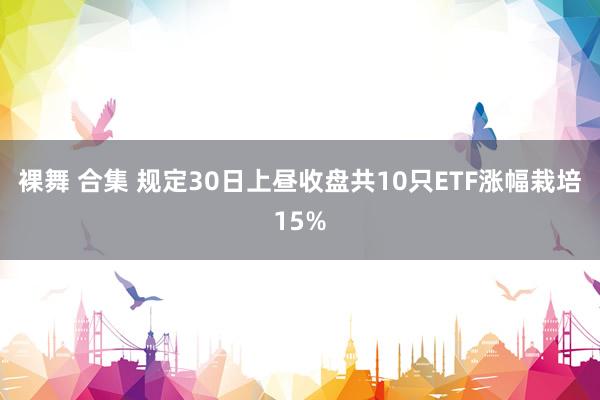 裸舞 合集 规定30日上昼收盘共10只ETF涨幅栽培15%