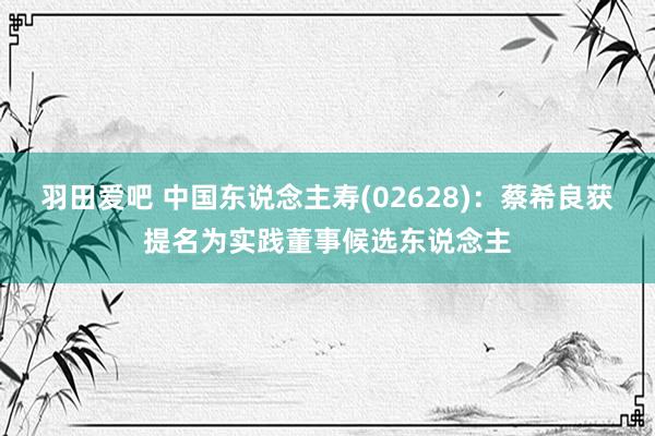 羽田爱吧 中国东说念主寿(02628)：蔡希良获提名为实践董事候选东说念主