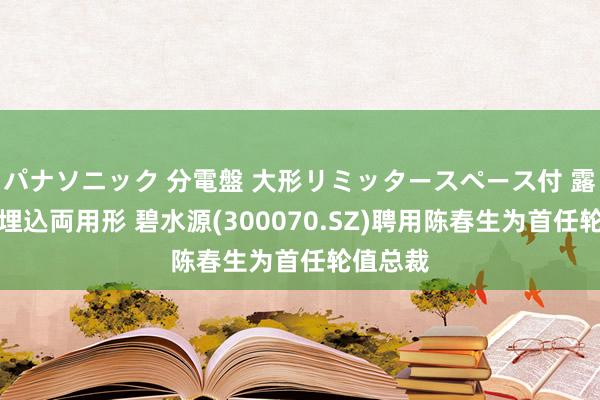 パナソニック 分電盤 大形リミッタースペース付 露出・半埋込両用形 碧水源(300070.SZ)聘用陈春生为首任轮值总裁