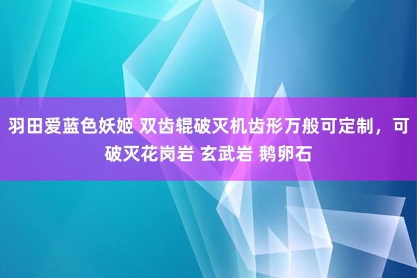 羽田爱蓝色妖姬 双齿辊破灭机齿形万般可定制，可破灭花岗岩 玄武岩 鹅卵石