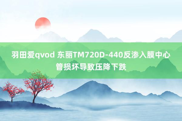 羽田爱qvod 东丽TM720D-440反渗入膜中心管损坏导致压降下跌