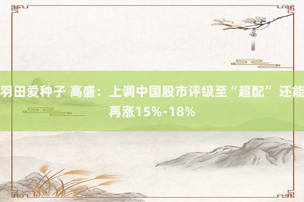 羽田爱种子 高盛：上调中国股市评级至“超配” 还能再涨15%-18%