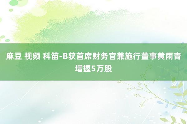 麻豆 视频 科笛-B获首席财务官兼施行董事黄雨青增握5万股