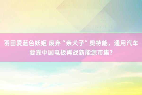 羽田爱蓝色妖姬 废弃“亲犬子”奥特能，通用汽车要靠中国电板再战新能源市集？