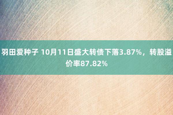 羽田爱种子 10月11日盛大转债下落3.87%，转股溢价率87.82%