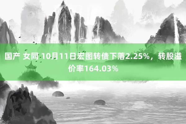 国产 女同 10月11日宏图转债下落2.25%，转股溢价率164.03%