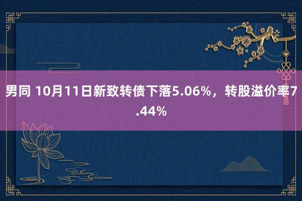 男同 10月11日新致转债下落5.06%，转股溢价率7.44%