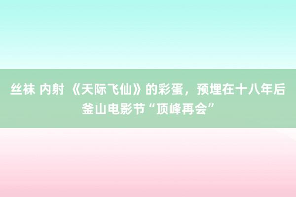 丝袜 内射 《天际飞仙》的彩蛋，预埋在十八年后釜山电影节“顶峰再会”