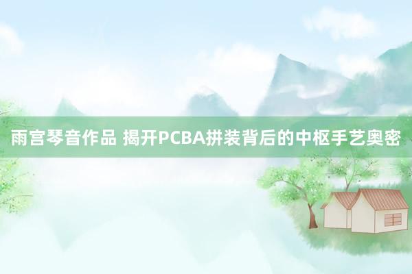 雨宫琴音作品 揭开PCBA拼装背后的中枢手艺奥密