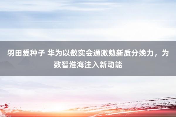 羽田爱种子 华为以数实会通激勉新质分娩力，为数智淮海注入新动能