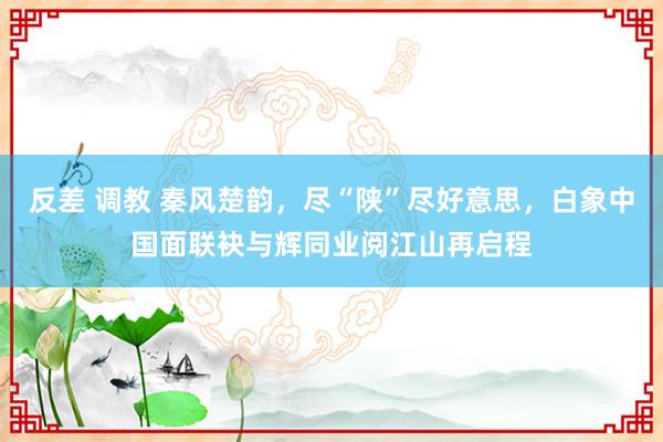 反差 调教 秦风楚韵，尽“陕”尽好意思，白象中国面联袂与辉同业阅江山再启程