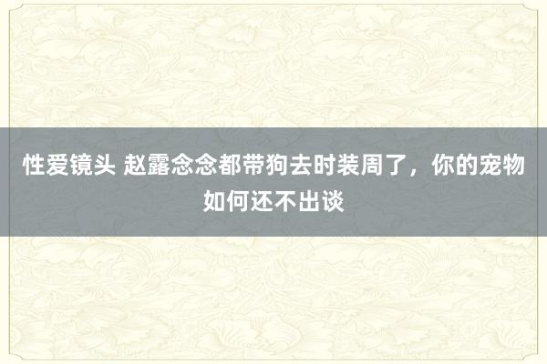 性爱镜头 赵露念念都带狗去时装周了，你的宠物如何还不出谈