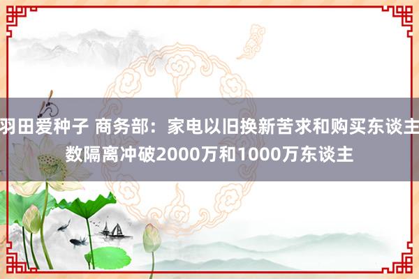 羽田爱种子 商务部：家电以旧换新苦求和购买东谈主数隔离冲破2000万和1000万东谈主