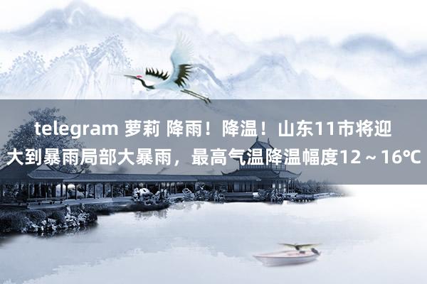 telegram 萝莉 降雨！降温！山东11市将迎大到暴雨局部大暴雨，最高气温降温幅度12～16℃