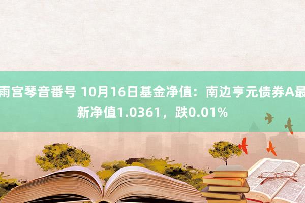 雨宫琴音番号 10月16日基金净值：南边亨元债券A最新净值1.0361，跌0.01%