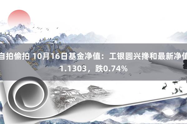 自拍偷拍 10月16日基金净值：工银圆兴搀和最新净值1.1303，跌0.74%