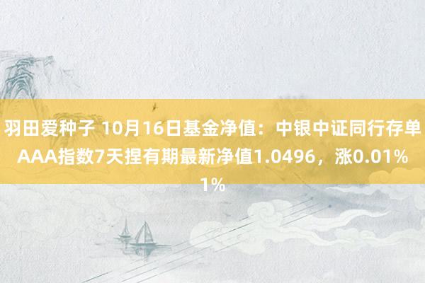 羽田爱种子 10月16日基金净值：中银中证同行存单AAA指数7天捏有期最新净值1.0496，涨0.01%