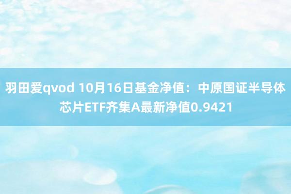 羽田爱qvod 10月16日基金净值：中原国证半导体芯片ETF齐集A最新净值0.9421