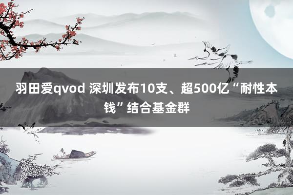 羽田爱qvod 深圳发布10支、超500亿“耐性本钱”结合基金群