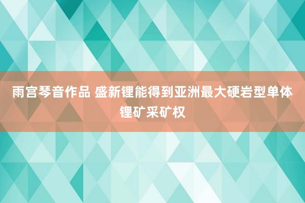 雨宫琴音作品 盛新锂能得到亚洲最大硬岩型单体锂矿采矿权