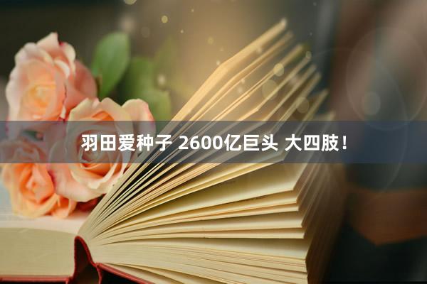 羽田爱种子 2600亿巨头 大四肢！