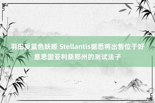 羽田爱蓝色妖姬 Stellantis据悉将出售位于好意思国亚利桑那州的测试法子