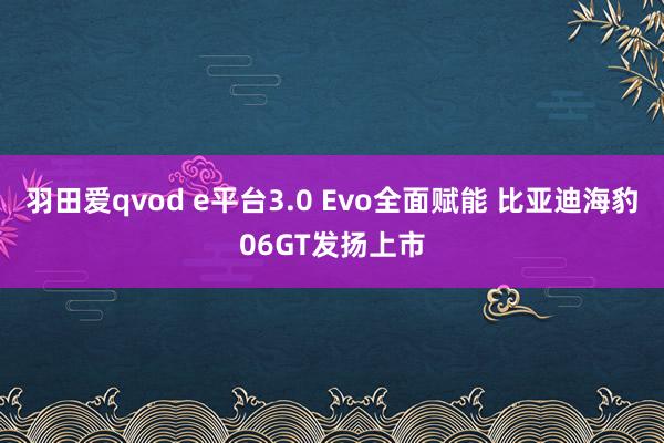 羽田爱qvod e平台3.0 Evo全面赋能 比亚迪海豹06GT发扬上市