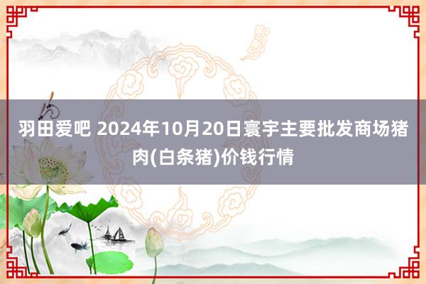 羽田爱吧 2024年10月20日寰宇主要批发商场猪肉(白条猪)价钱行情