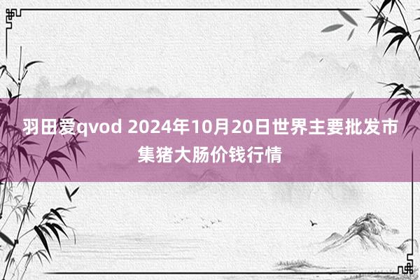 羽田爱qvod 2024年10月20日世界主要批发市集猪大肠价钱行情