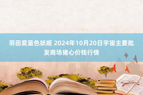 羽田爱蓝色妖姬 2024年10月20日宇宙主要批发商场猪心价钱行情