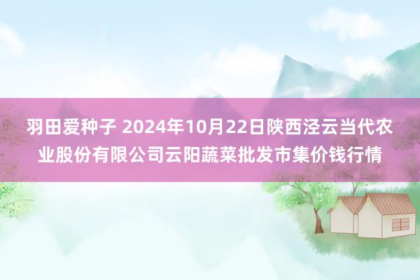 羽田爱种子 2024年10月22日陕西泾云当代农业股份有限公司云阳蔬菜批发市集价钱行情