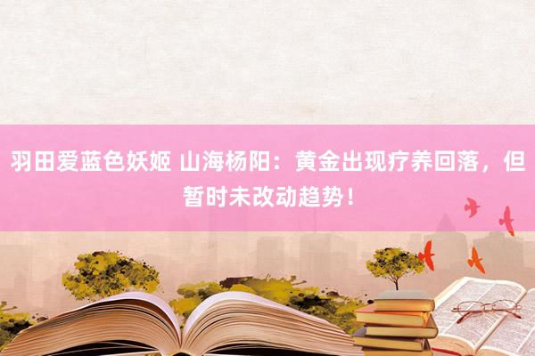 羽田爱蓝色妖姬 山海杨阳：黄金出现疗养回落，但暂时未改动趋势！