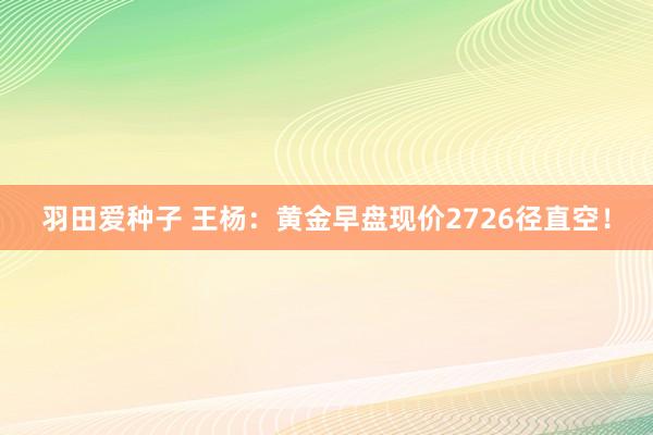 羽田爱种子 王杨：黄金早盘现价2726径直空！